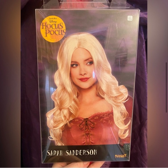 Sarah Sanderson Costume - Picture 3 of 6